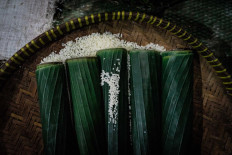 A handful of banana leaf tubes filled with glutinous rice. JP/Anggertimur Lanang Tinarbuko