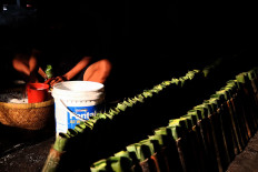 The tubes, which have been filled with glutinous rice, will be put in rows near an open fire. JP/P.J. Leo
