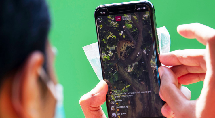 Zoo animals get love, attention amid pandemic