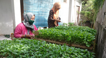Plant nursery helps people reconnect with nature, grow their own food