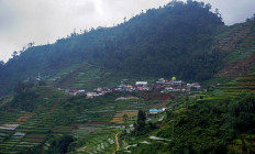 A village where the houses of some SMP 4 Bawang’s students are located in Batang regency, Central Java. JP/Harviyan Perdana Putra