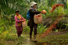 What Indonesia’s palm oil is losing in Swiss trade deal