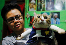 Risma Sandra Irawan, 31, carries her cat wearing a cosplay costume, in Jakarta, Indonesia, November 29, 2020. Reuters/Ajeng Dinar Ulfiana