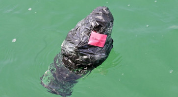 Indonesia tracks marine litter through satellite