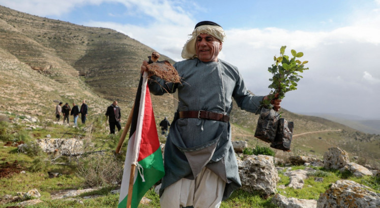 Palestinians replant trees after Israel uproots thousands