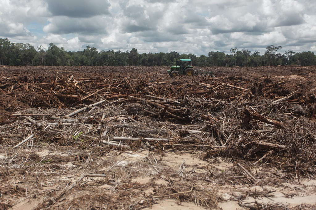 A worker uses a tractor to plow land designated for the food estate program in Tewai Baru, Gunung Mas regency, Central Kalimantan, on March 6, 2021. 